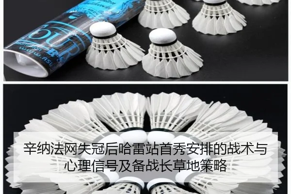 辛纳法网失冠后哈雷站首秀安排的战术与心理信号及备战长草地策略