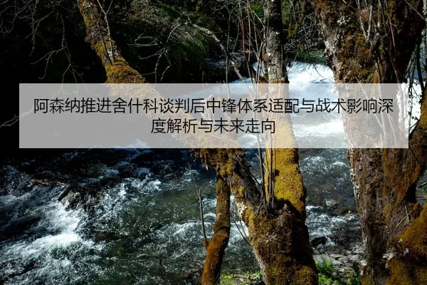 阿森纳推进舍什科谈判后中锋体系适配与战术影响深度解析与未来走向